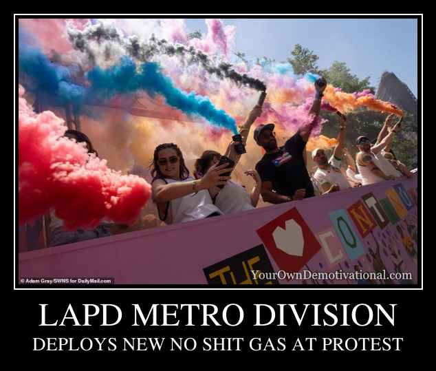 lapd-metro-division