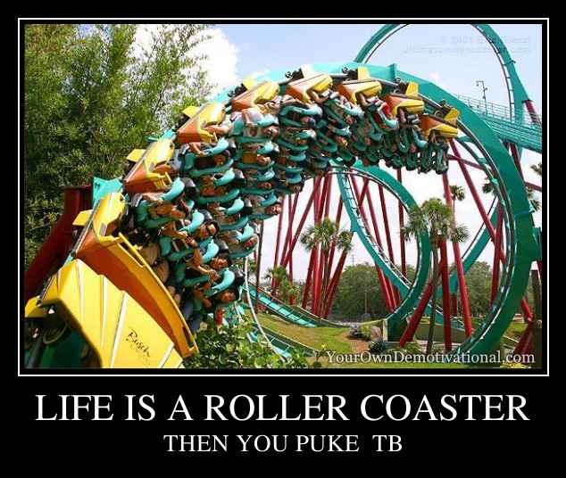 life-is-a-roller-coaster